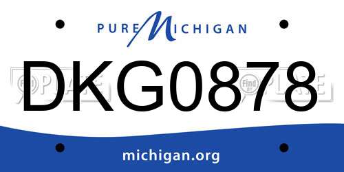 DKG0878 Michigan License Plate