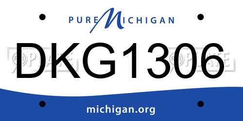 DKG1306 Michigan License Plate
