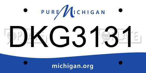 DKG3131 Michigan License Plate