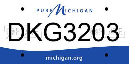 DKG3203 Michigan License Plate