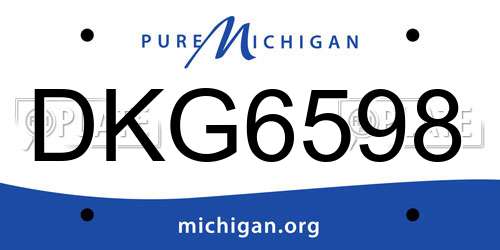 DKG6598 Michigan License Plate