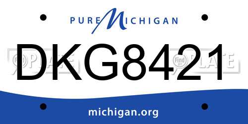 DKG8421 Michigan License Plate