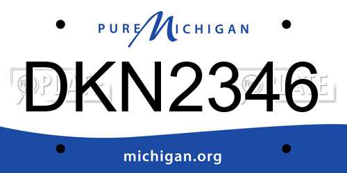 DKN2346 Michigan License Plate