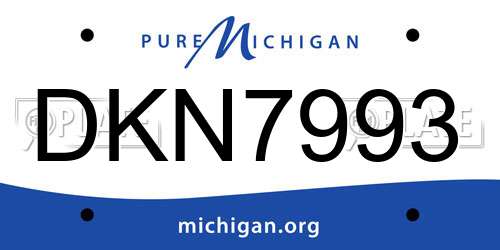 DKN7993 Michigan License Plate