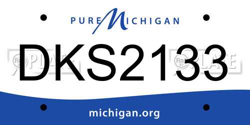 DKS2133 Michigan License Plate
