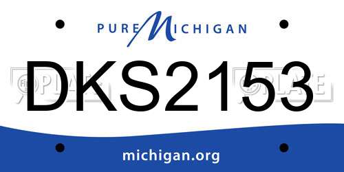DKS2153 Michigan License Plate