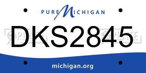 DKS2845 Michigan License Plate