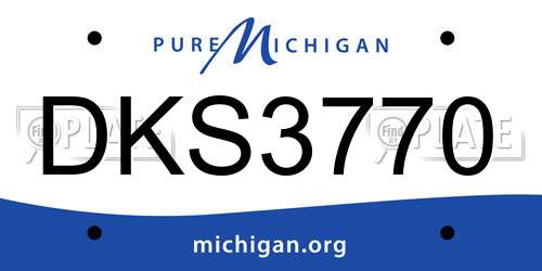 DKS3770 Michigan License Plate