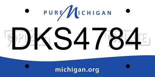 DKS4784 Michigan License Plate