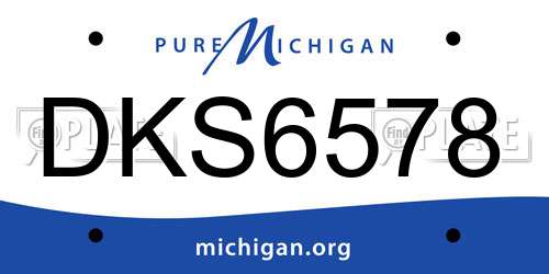 DKS6578 Michigan License Plate