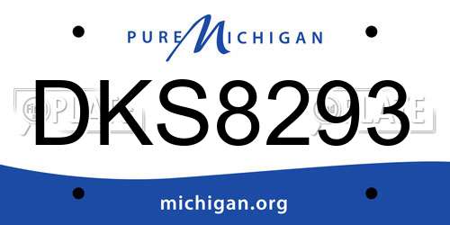 DKS8293 Michigan License Plate