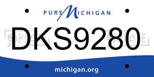 DKS9280 Michigan License Plate