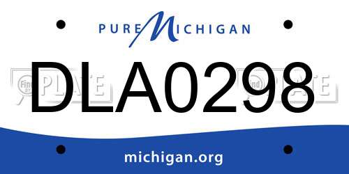 DLA0298 Michigan License Plate