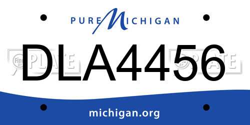 DLA4456 Michigan License Plate