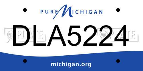 DLA5224 Michigan License Plate