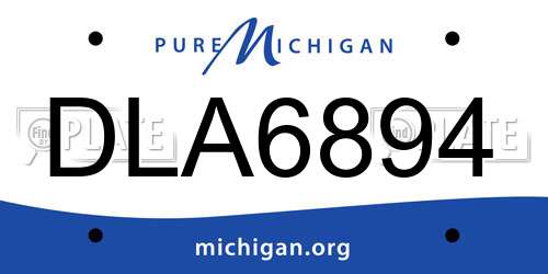 DLA6894 Michigan License Plate