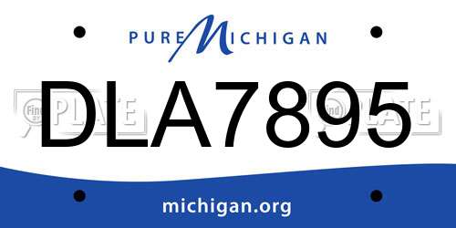 DLA7895 Michigan License Plate