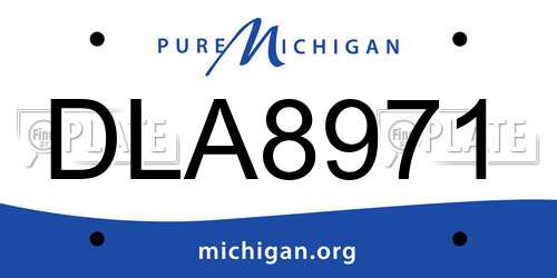 DLA8971 Michigan License Plate