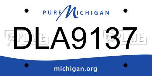 DLA9137 Michigan License Plate
