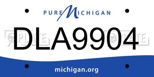 DLA9904 Michigan License Plate