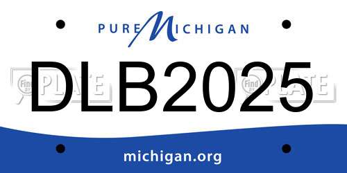 DLB2025 Michigan License Plate