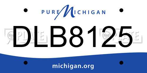DLB8125 Michigan License Plate