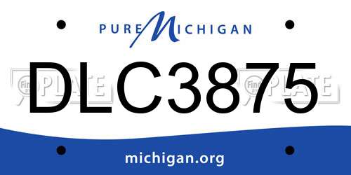 DLC3875 Michigan License Plate
