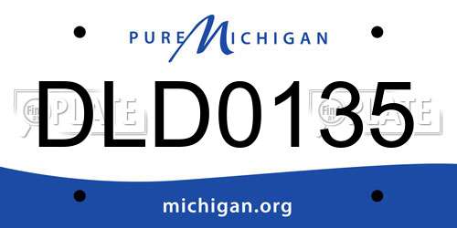 DLD0135 Michigan License Plate