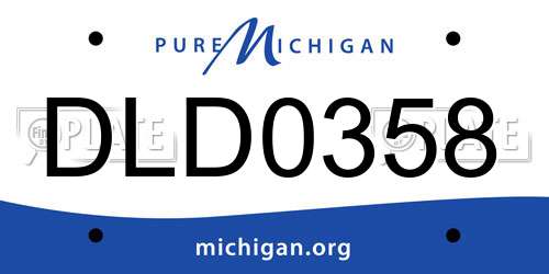DLD0358 Michigan License Plate