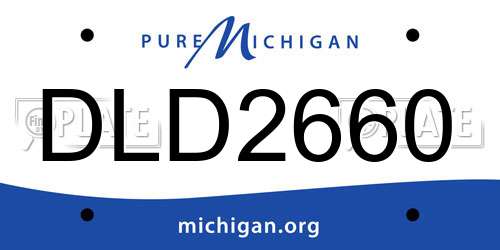 DLD2660 Michigan License Plate