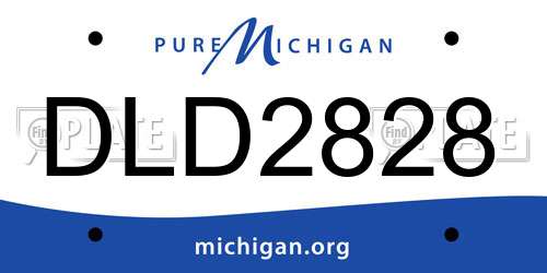 DLD2828 Michigan License Plate