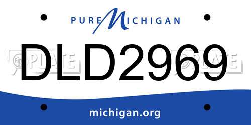 DLD2969 Michigan License Plate