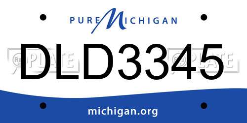 DLD3345 Michigan License Plate