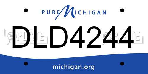 DLD4244 Michigan License Plate
