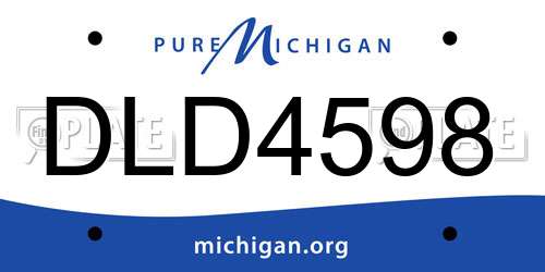 DLD4598 Michigan License Plate