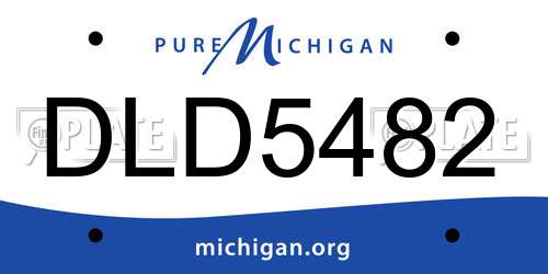 DLD5482 Michigan License Plate