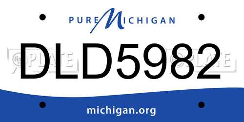 DLD5982 Michigan License Plate