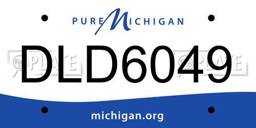 DLD6049 Michigan License Plate