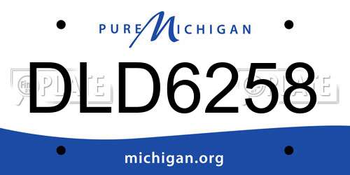 DLD6258 Michigan License Plate
