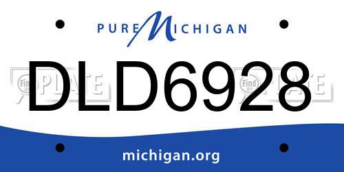 DLD6928 Michigan License Plate