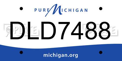 DLD7488 Michigan License Plate