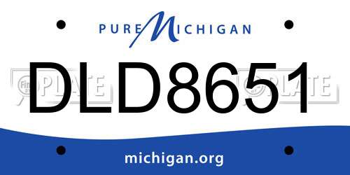 DLD8651 Michigan License Plate