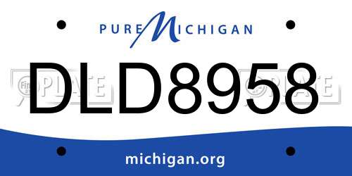 DLD8958 Michigan License Plate