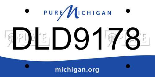 DLD9178 Michigan License Plate