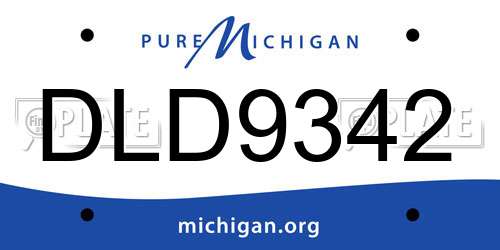 DLD9342 Michigan License Plate