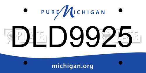DLD9925 Michigan License Plate