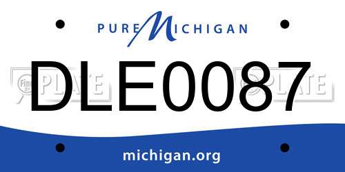 DLE0087 Michigan License Plate