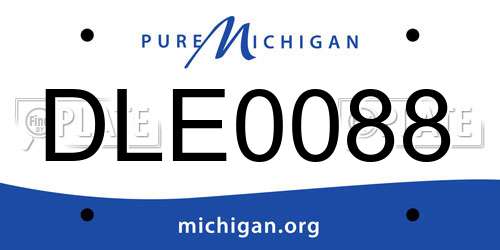 DLE0088 Michigan License Plate