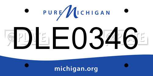 DLE0346 Michigan License Plate