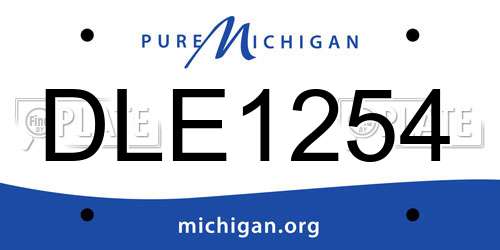 DLE1254 Michigan License Plate